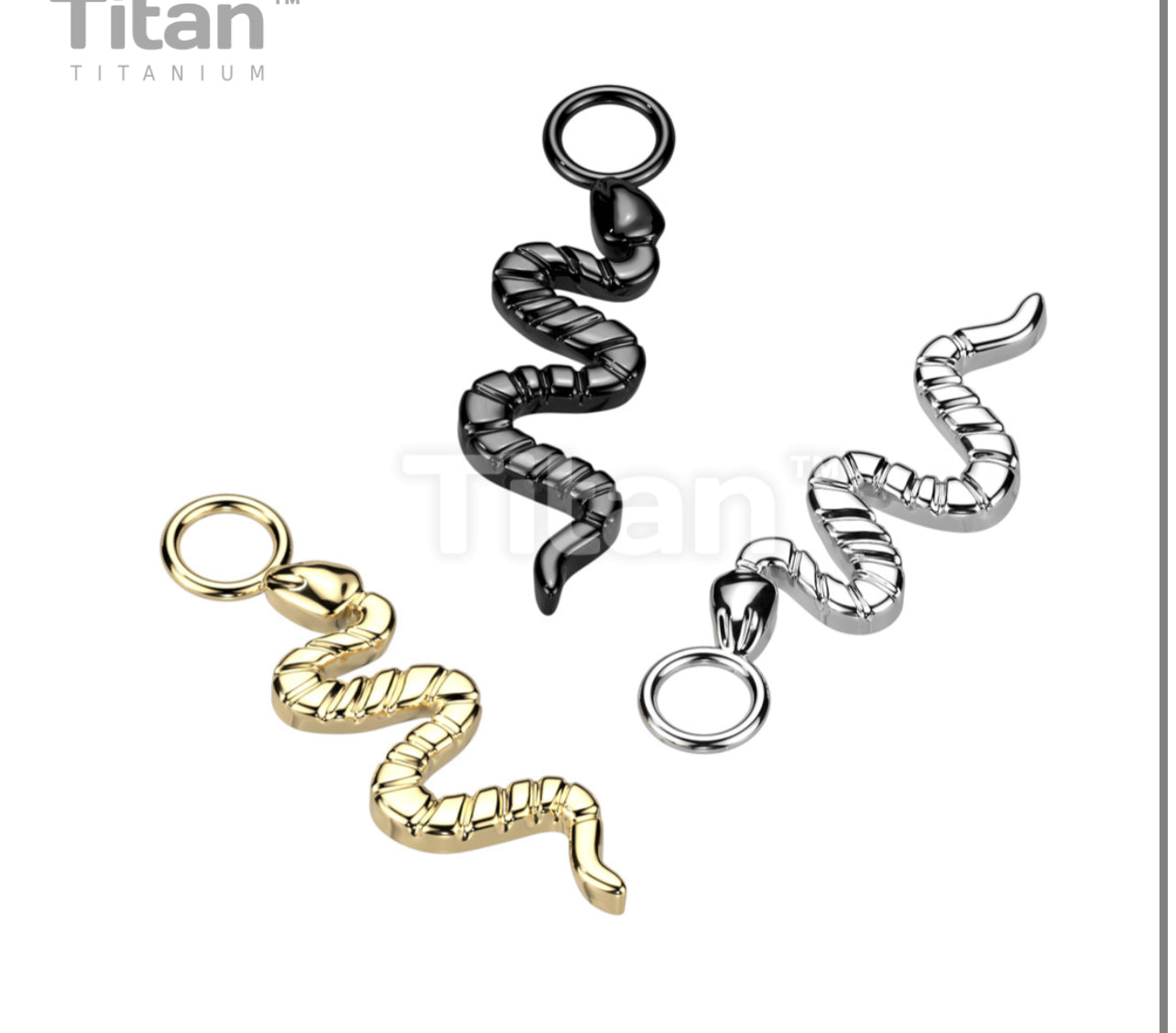 Titanium Snake Charm