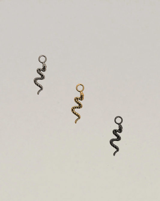 Titanium Snake Charm